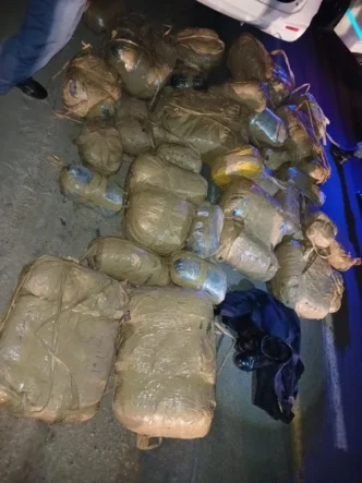 Police officers seizing dagga during a bust