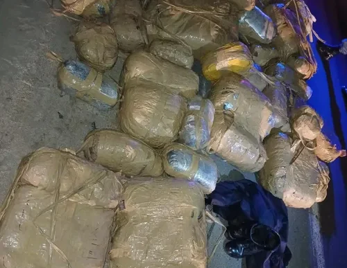 Police officers seizing dagga during a bust