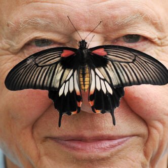 David Attenborough in the natural world