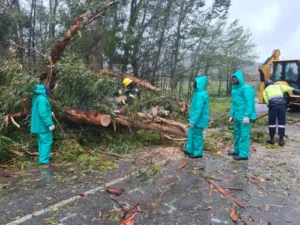 Storm damage in Garden Route