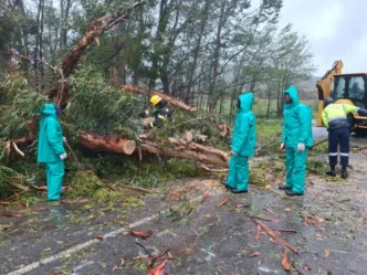 Storm damage in Garden Route
