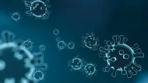 hantavirus symptoms and prevention