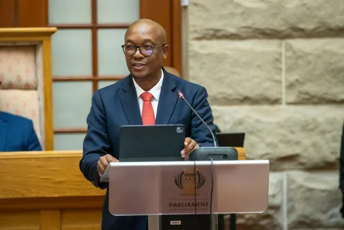 Minister Parks Tau speaking at a conference