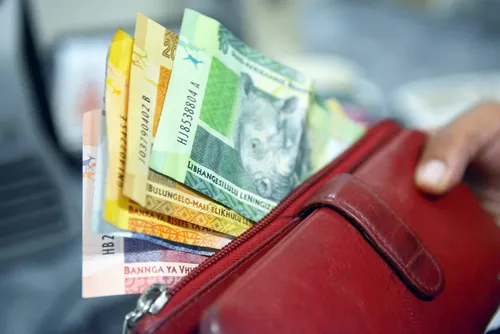 South African economy graph