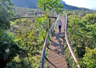 Kirstenbosch Botanical Gardens