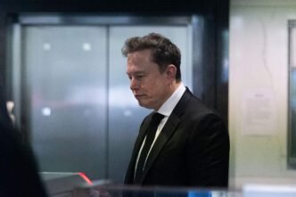 Elon Musk in court