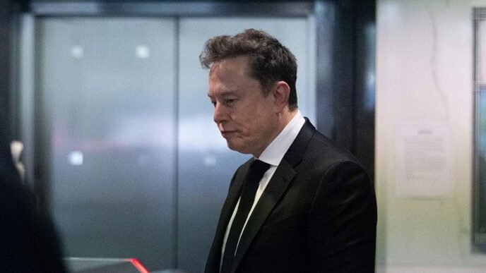 Elon Musk in court