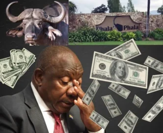 President Cyril Ramaphosa