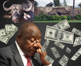 Constitutional Court of South Africa