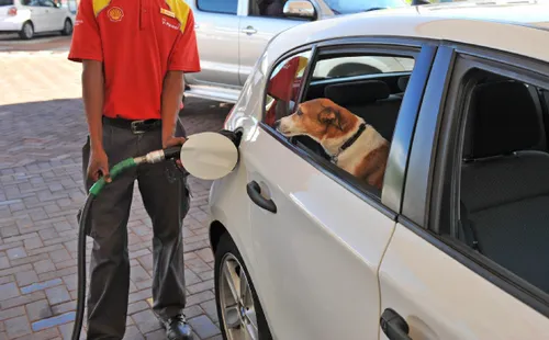 Fuel price increase graphic