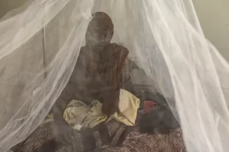 Somali refugees waiting for food aid