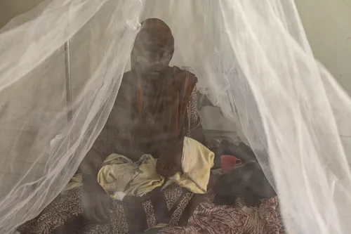 Somali refugees waiting for food aid