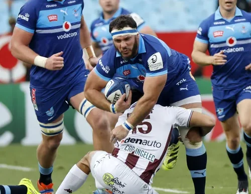 Bulls captain Marcell Coetzee in action