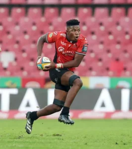 Lions rugby team in action