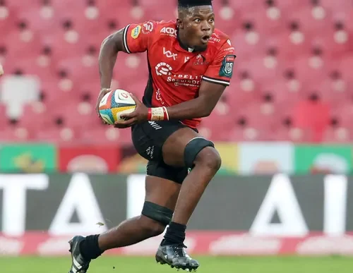 Lions rugby team in action