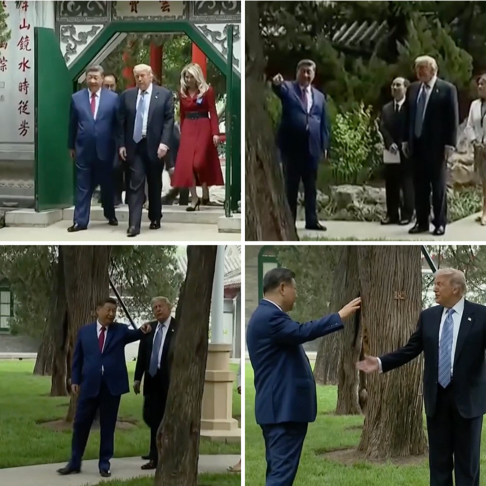 Xi Jinping and Donald Trump walking in a garden
