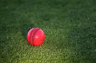 Cricket ball on a pitch